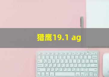 猎鹰19.1 ag